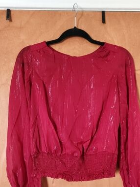 Japna Shimmery Semi Sheer  Cranberry Long-Sleeve Blouse Size Small